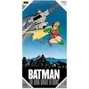Plakatas Sd Toys DC Comics Batman and Robin glass poster