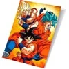 Plakatas Sd Toys Dragon Ball Super Champa Goku States 3D poster