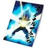 Plakatas Sd Toys Dragon Ball Super Universal Survival Vegeta 3D poster