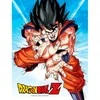 Plakatas Sd Toys Dragon Ball Z Goku Kame glass poster