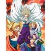 Plakatas Sd Toys Dragon Ball Z Heroes vs Cell glass poster