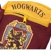 Sd Toys Harry Potter Gryffindor bag