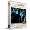 Dėlionė Sd Toys Harry Potter - Harry Potter and the Half-Blood Prince puzzle 100pcs