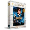 Dėlionė Sd Toys Harry Potter Philosophers Stone puzzle 100pcs