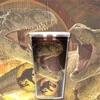 Sd Toys Jurassic Park Dominion 3D lenticular tumbler 50ml
