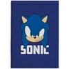 Patalynės komplektas Sega Sonic The Hedgehog polar blanket