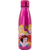 STOR Disney Princess aliuminio bottle 600ml
