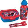 Stor Pikniko rinkinys Spiderman Midnight Flyer, 400 ml, įvairių spalvų