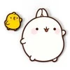 Molang ir Piu Piu smeigtukų rinkinys
