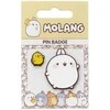 Molang ir Piu Piu metalinių segtukų rinkinys