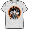 Toei Animation Dragon Ball Goku adult t-shirt