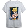 Toei Animation Dragon Ball Goku Super Saiyan adult t-shirt