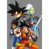 Toei Animation Dragon Ball Super polar blanket
