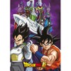 Toei Animation Dragon Ball Super polar blanket