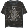 Warner Bros Discovery Harry Potter Deathly Hallows adult t-shirt