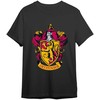Warner Bros Discovery Harry Potter Gryffindor adult t-shirt