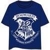 Warner Bros Discovery Harry Potter Hogwarts adult t-shirt