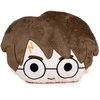 Warner Bros Discovery Harry Potter plush cushion