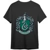 Warner Bros Discovery Harry Potter Slytherin adult t-shirt