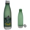 Warner Bros Discovery Butelis 650 ml Slytherin Hario Poterio