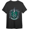 Warner Bros Discovery Harry Potter Slytherin adult t-shirt