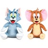Warner Bros Discovery WARNER BROS Pliušinis žaislas Tom &amp; Jerry - Tom 28 cm