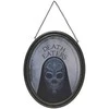 Plakatas Widdop Co Harry Potter Dark Arts Death Eater mirrored plaqued