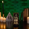 Widdop Co Harry Potter Dark Arts Deathly Hallows light upp tube