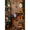 Widdop Co Harry Potter Herbology photo frame