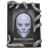 Widdop Co Harry Potter Nagini photo frame