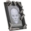 Widdop Co Harry Potter Nagini photo frame