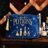 Widdop Co Harry Potter Potions wash bag