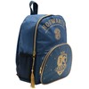 Widdop Co Harry Potter Ravenclaw backpack