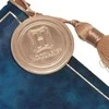 Widdop Co Harry Potter Ravenclaw hanging banner
