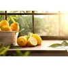 Hagleitner Aliejinis oro gaiviklis toiletOIL YUZU, Hagleinter
