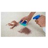 Hagleitner Kilimų valiklis CarpetSpray, 1L