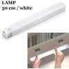 Belaidė magnetinė LED USB įkraunama lempa su jutikliu , 30 cm