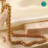 Titano plieno grandinėlė, 6 mm pločio, 56 ​​cm ilgio