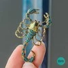 Unikalaus dizaino sagė , Scorpio