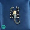 Unikalaus dizaino sagė , Scorpio