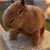 22CM Minkštas Kapibara Pliušinis Žaislas Vaikams Dovana