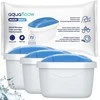 Aquafloow MaxiMag 3 filtrų rinkinys.