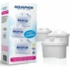 Aquaphor filtrai B100-25 Maxfor 3vnt