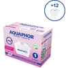 Aquaphor Maxfor+ Mg vandens filtrų rinkinys, 12 vnt.