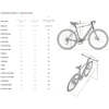 FIIDO C21 E-GRAVEL elektrinis dviratis (28"), l