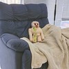 Pliušinis žaislas HappyJoe, Minecraft Golum, 30 cm