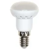 Spectrum Led LED lemputė SPECTRUM, R40, E14, 3 W, 240 lm, 3000 K