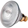 Lemputė Philips 175W balta 22309