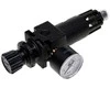 Oro filtras GIS AP007