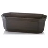 Plastikinė kaktusinė Uniplastex Ukor, 24,2 x 11,3 x 8,3 cm